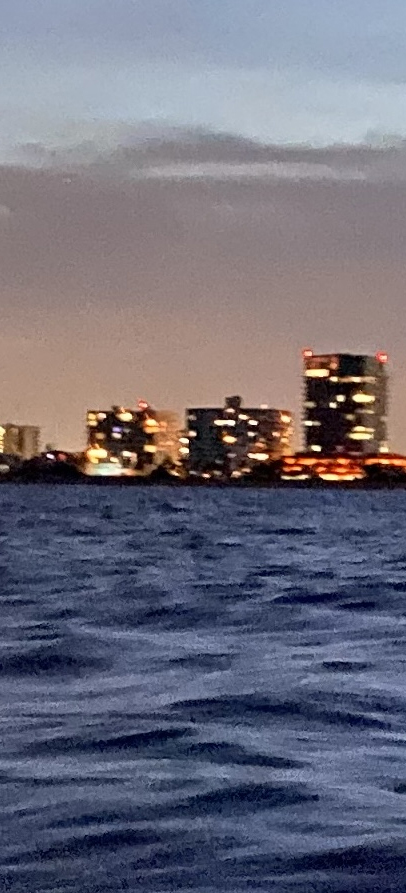miami_by_night